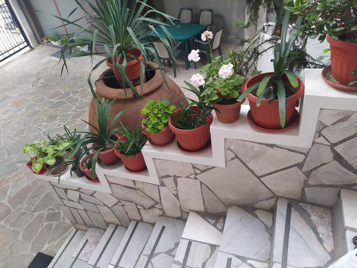 אסנובגראד Каламанди מראה חיצוני תמונה